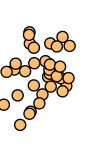 IXP - Internet Exchange Point