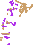 Proyectos de energia priorizados por los gobiernos provinciales