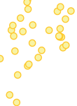 Dirección Nacional de Migraciones (DNM)